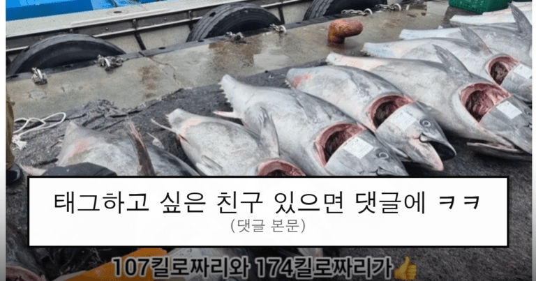 ruliweb_75518891_0_thumb