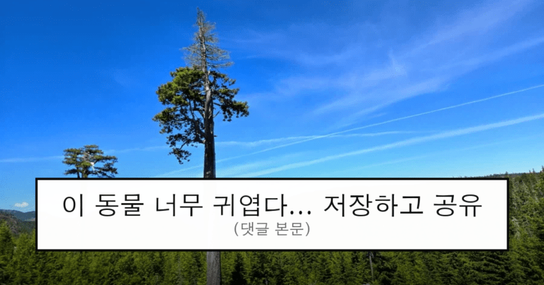 ruliweb_75575836_0_thumb