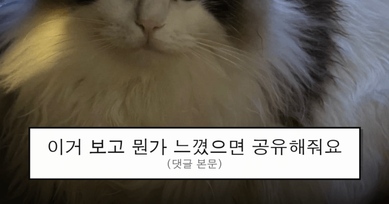 ruliweb_75647818_0_thumb