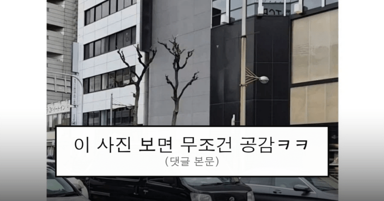 ruliweb_75668665_0_thumb