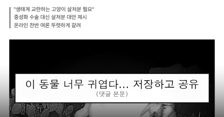 ruliweb_75689039_0_thumb