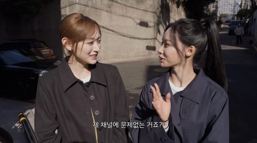 자신의 유투브 채널에는 영향이 가지 않게 해달라는 아이돌 8번째 이미지