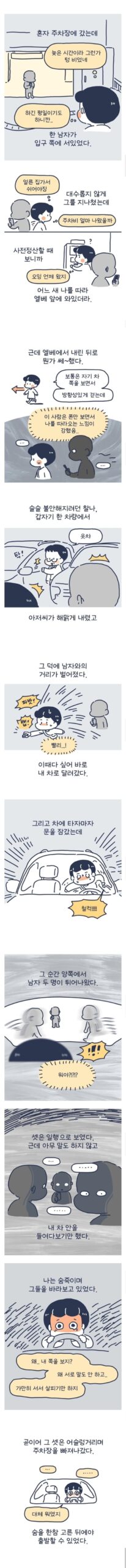 치안폭발 .주차장 납치 당할 뻔한 인스타툰 작가 ㄷ