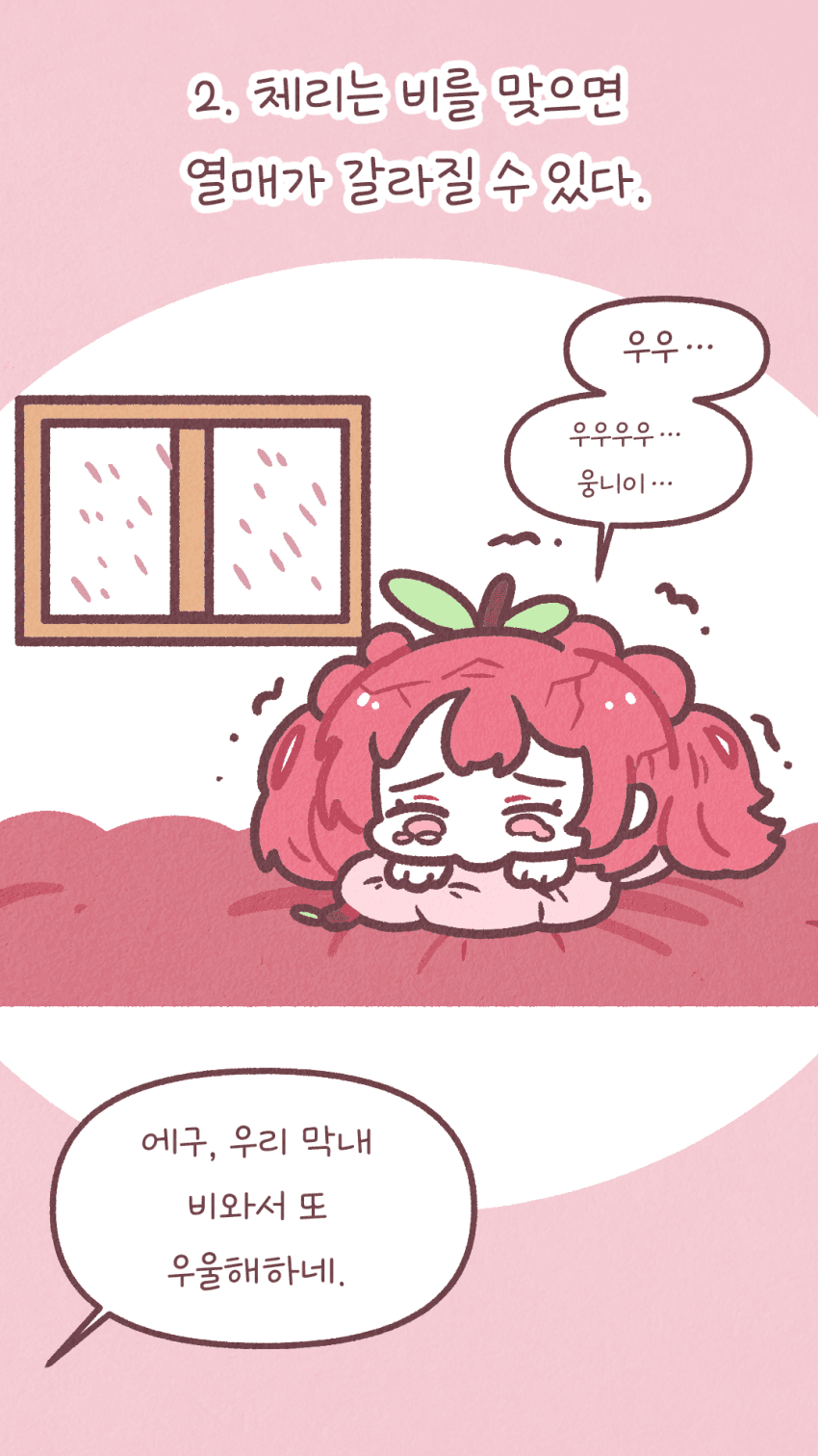 체리 여동생 특징.만화 3번째 이미지