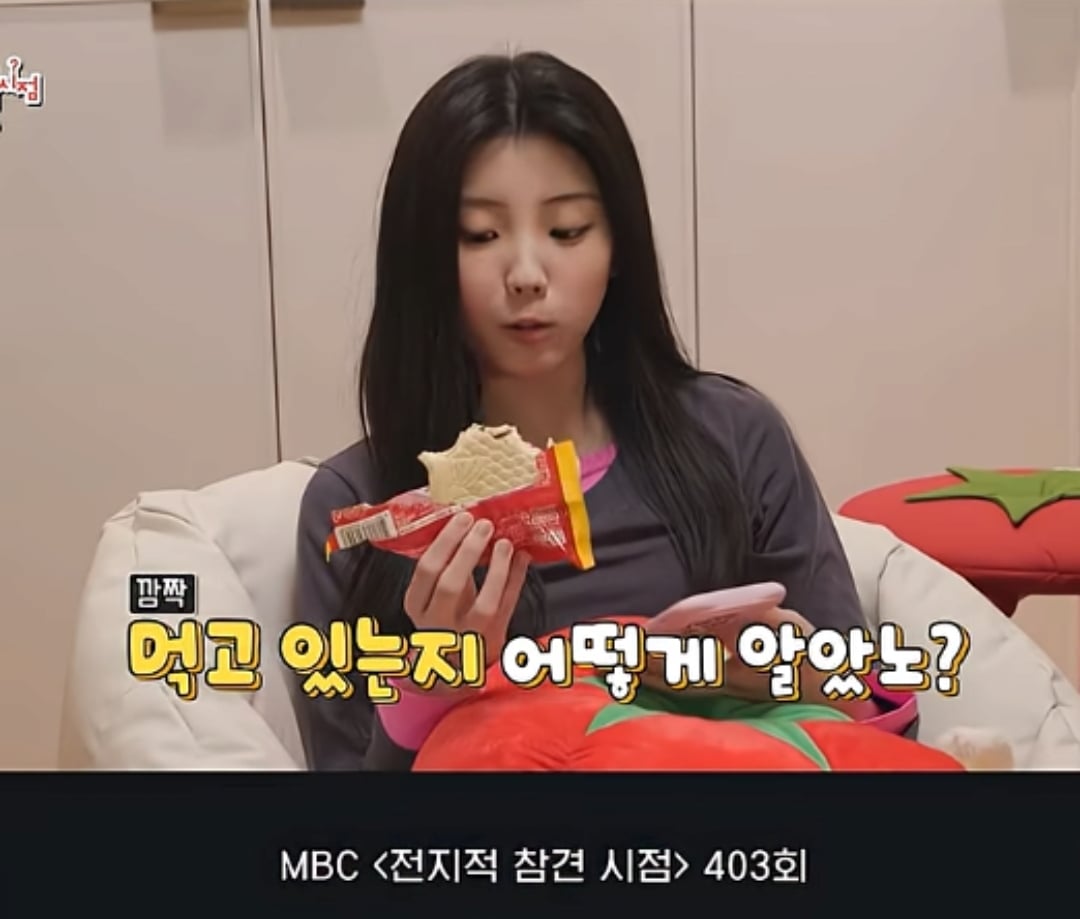 리센느 원이처럼 