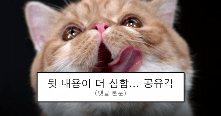 ruliweb_75827152_0_thumb