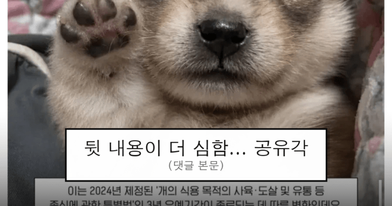 ruliweb_75829978_0_thumb