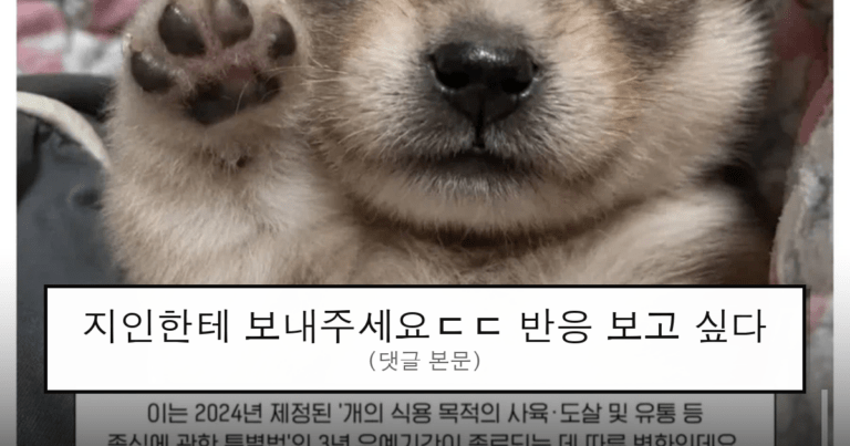 ruliweb_75829978_0_thumb