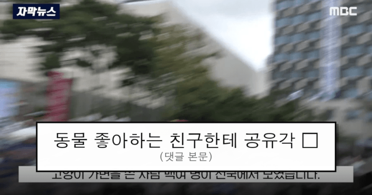 ruliweb_75913183_0_thumb