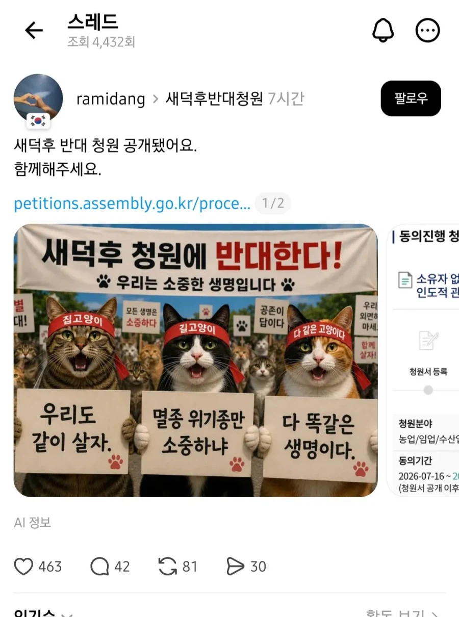 캣맘의 청원