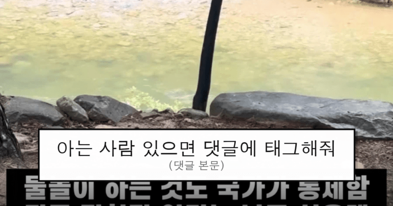 ruliweb_76014144_0_thumb