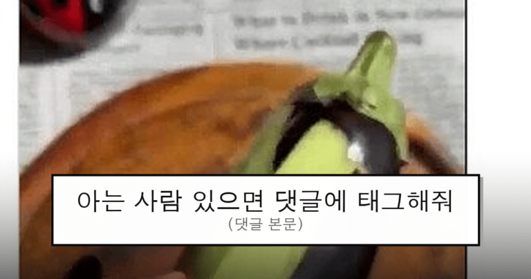 todayhumor_483062_0_thumb