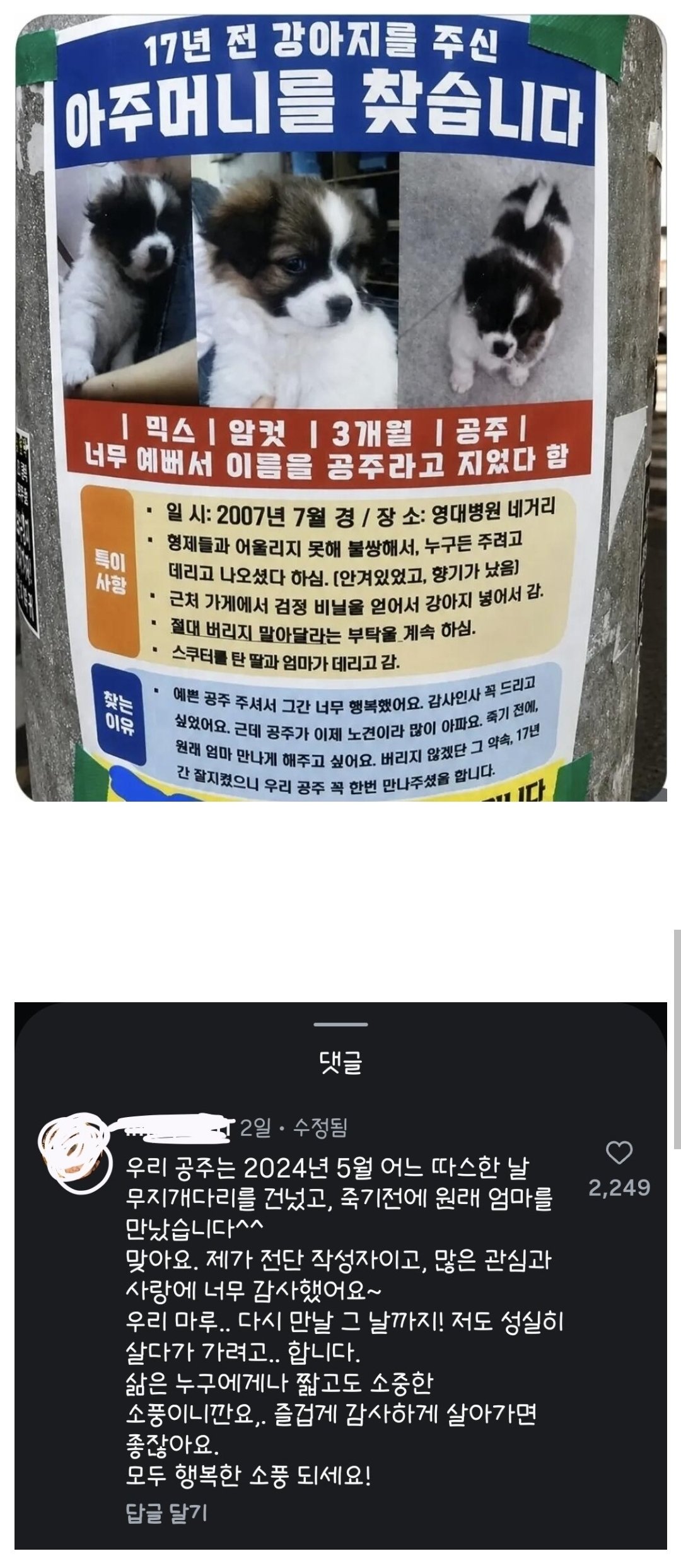 17년전 강아지를 준 아줌마를 찾던 전단지 후기